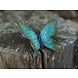 Eliassen Bronze green butterfly Eliassen Bronze green butterfly