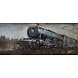 Eliassen 3D schilderij metaal Stoomlocomotief 56x180cm Eliassen 3D schilderij metaal Stoomlocomotief 56x180cm