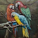 Eliassen Metalen 3d schilderij Papagaaien 100x100cm Eliassen Metalen 3d schilderij Papagaaien 100x100cm