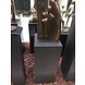 Eliassen Sockel schwarzer Granit matt 30x30x75cm Eliassen Sockel schwarzer Granit matt 30x30x75cm