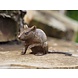 Eliassen Bronze mouse paw figurine up Eliassen Bronze mouse paw figurine up