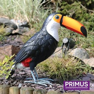 Primus Figure Toucan