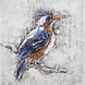 Canvas schilderij 80x80cm Ijsvogel Canvas schilderij 80x80cm Ijsvogel