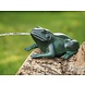 Eliassen Bronze frog squirting Eliassen Bronze frog squirting