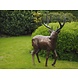 Eliassen Bronzen beeld hert groot Eliassen Bronzen beeld hert groot