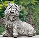 Dragonstone Gartenskulptur Yorkshire Terrier Hund Dragonstone Gartenskulptur Yorkshire Terrier Hund