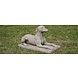 Dragonstone Tuinbeeld Whippet hond Dragonstone Tuinbeeld Whippet hond