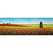 Canvas schilderij 150 x 50 cm Bloemenveld Canvas schilderij 150 x 50 cm Bloemenveld