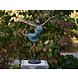 Bronzen ballerina 57 cm Bronzen ballerina 57 cm