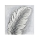 Canvas schilderij 80 x 80 cm Veer Canvas schilderij 80 x 80 cm Veer