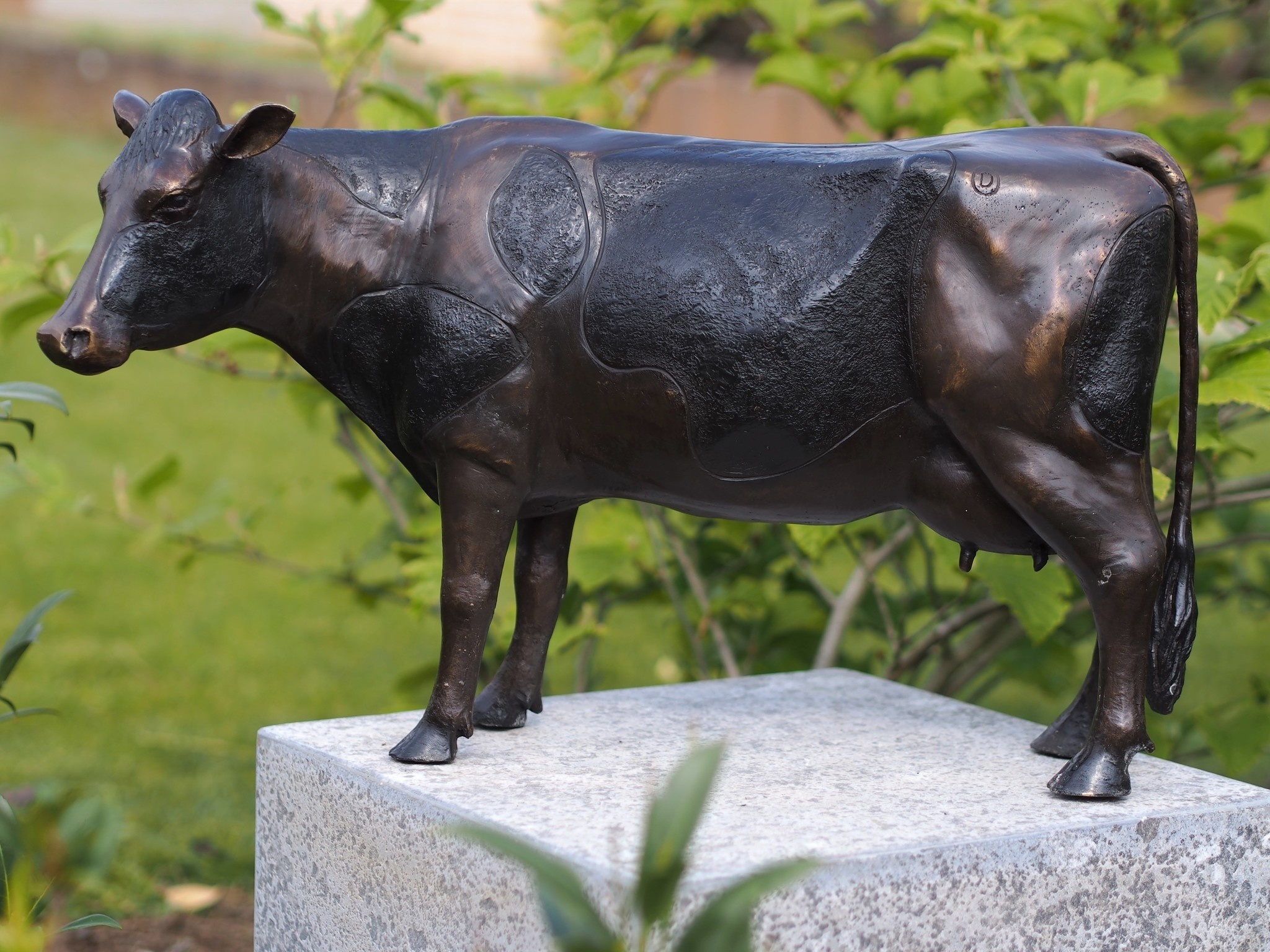 ondergeschikt Tom Audreath cement Bronzen koe | Eliassen - Eliassen Home & Garden Pleasure