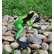 Eliassen Bronzen beeld regenwoud kikker groen Eliassen Bronzen beeld regenwoud kikker groen