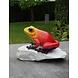 Eliassen Stone statue red frog Eliassen Stone statue red frog