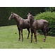 Bronzen koppel paarden Bronzen koppel paarden