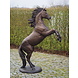Bronzen steigerend paard Bronzen steigerend paard
