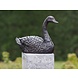 Bronzen zwaan Bronzen zwaan