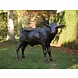Bronzen kalf Bronzen kalf