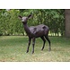 Bronzen ree Bronzen ree