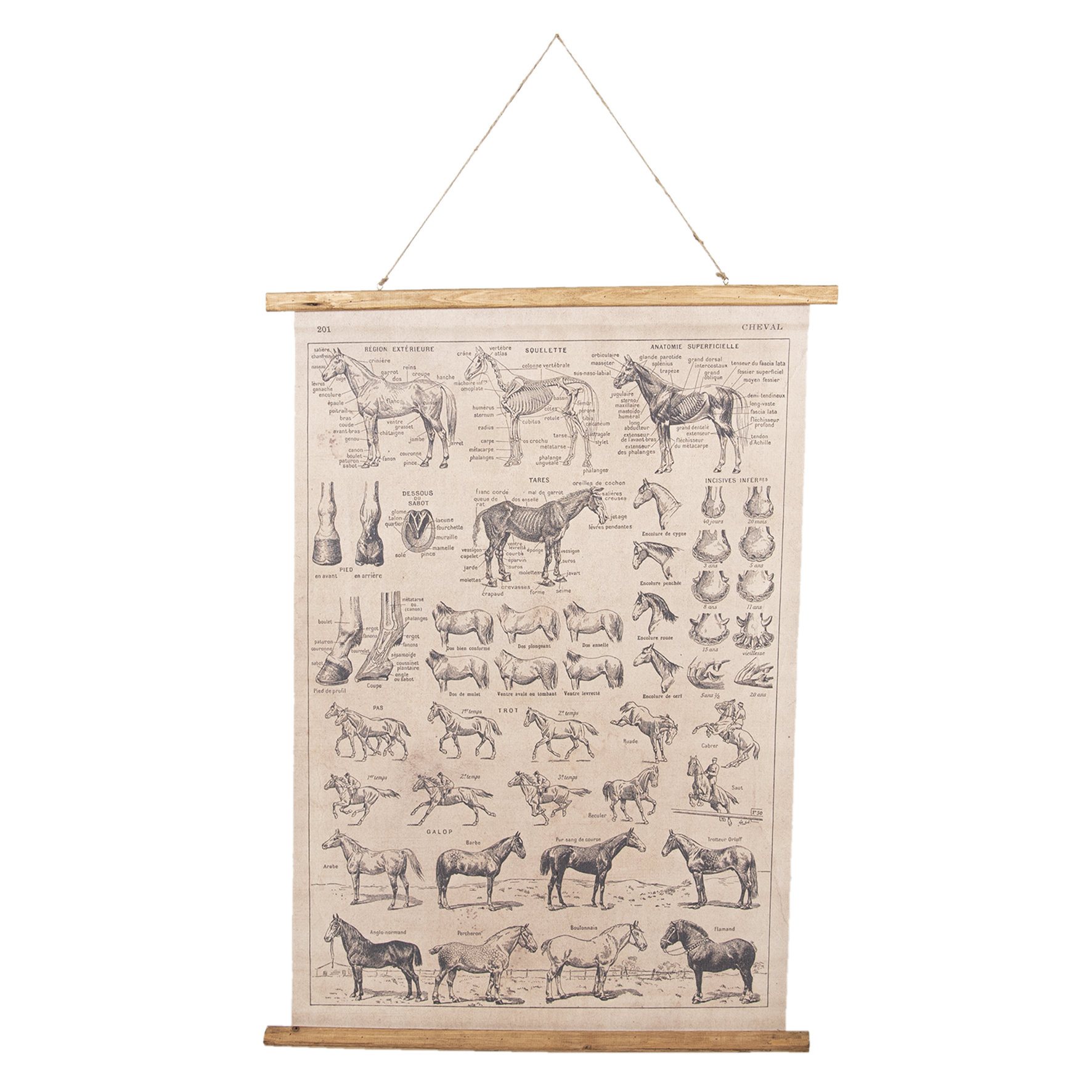 Absoluut kunst huid Wandkaart paarden 100x75cm - Eliassen - Eliassen Home & Garden Pleasure