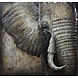 3d schilderij Metaal Olifant 100x100cm 3d schilderij Metaal Olifant 100x100cm