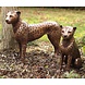 Eliassen Beeld brons zittende cheetah Eliassen Beeld brons zittende cheetah