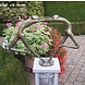 Eliassen Beeld brons abstract verliefd danspaar Eliassen Beeld brons abstract verliefd danspaar