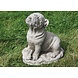 Dragonstone Gartenstatue große Bulldogge Dragonstone Gartenstatue große Bulldogge
