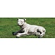Dragonstone Gartenbild großer Pitbull-Hund Dragonstone Gartenbild großer Pitbull-Hund