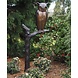 Eliassen Beel bronze Owl on branch large Eliassen Beel bronze Owl on branch large