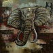 Eliassen 3D schilderij olifant groot 100x100cm Eliassen 3D schilderij olifant groot 100x100cm
