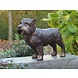 Eliassen Bronzen Yorkshire hond Eliassen Bronzen Yorkshire hond