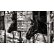 Aluminium Dibond schilderij 118x70cm Paarden Aluminium Dibond schilderij 118x70cm Paarden