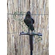 Eliassen Garden plug Bird with berry Eliassen Garden plug Bird with berry