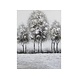 Canvas schilderij 60 x 80 cm 3 bomen Canvas schilderij 60 x 80 cm 3 bomen