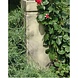 Eliassen Beeld Winter Buste Eliassen Beeld Winter Buste