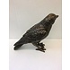 Eliassen Bronzeskulptur Krähe Eliassen Bronzeskulptur Krähe