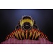 Wandkraft Schilderij dibond rvs Hommel 148x98cm Wandkraft Schilderij dibond rvs Hommel 148x98cm