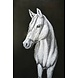 Eliassen 3D schilderij metaal 80x120cm Paard Eliassen 3D schilderij metaal 80x120cm Paard