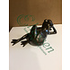 Bronzefrosch liegend Bronzefrosch liegend