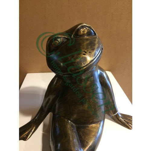 Bronze sitzender Frosch