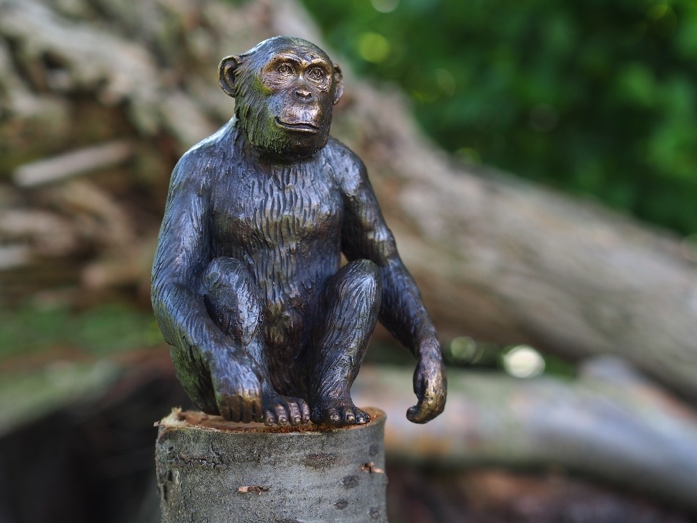 Beeld brons aap Chimpansee - Eliassen Home Garden Pleasure