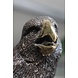 Eliassen Image bronze falcon on branch Eliassen Image bronze falcon on branch