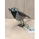 Eliassen Metalen figuur paar vogels 23cm Eliassen Metalen figuur paar vogels 23cm
