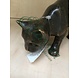 Eliassen Beeld brons poes loerend Eliassen Beeld brons poes loerend