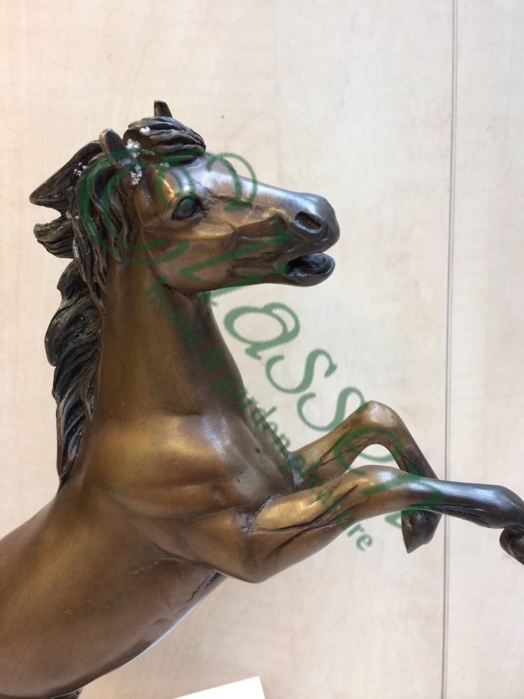 Beeld brons klein steigerend paardje Eliassen Home & Garden Pleasure