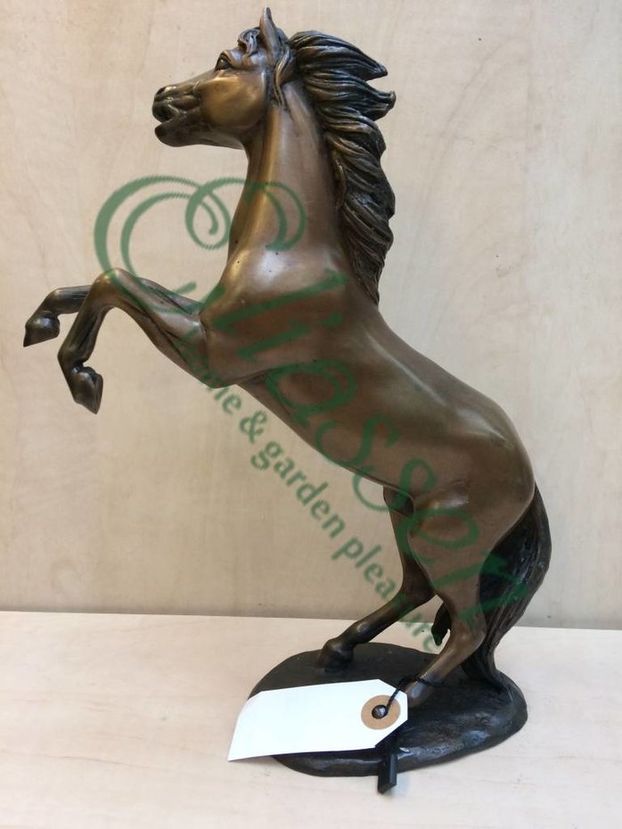 Beeld brons klein steigerend paardje Eliassen Home & Garden Pleasure