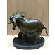 Beeld brons Olifant 25cm Beeld brons Olifant 25cm