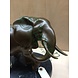Beeld brons Olifant 25cm Beeld brons Olifant 25cm