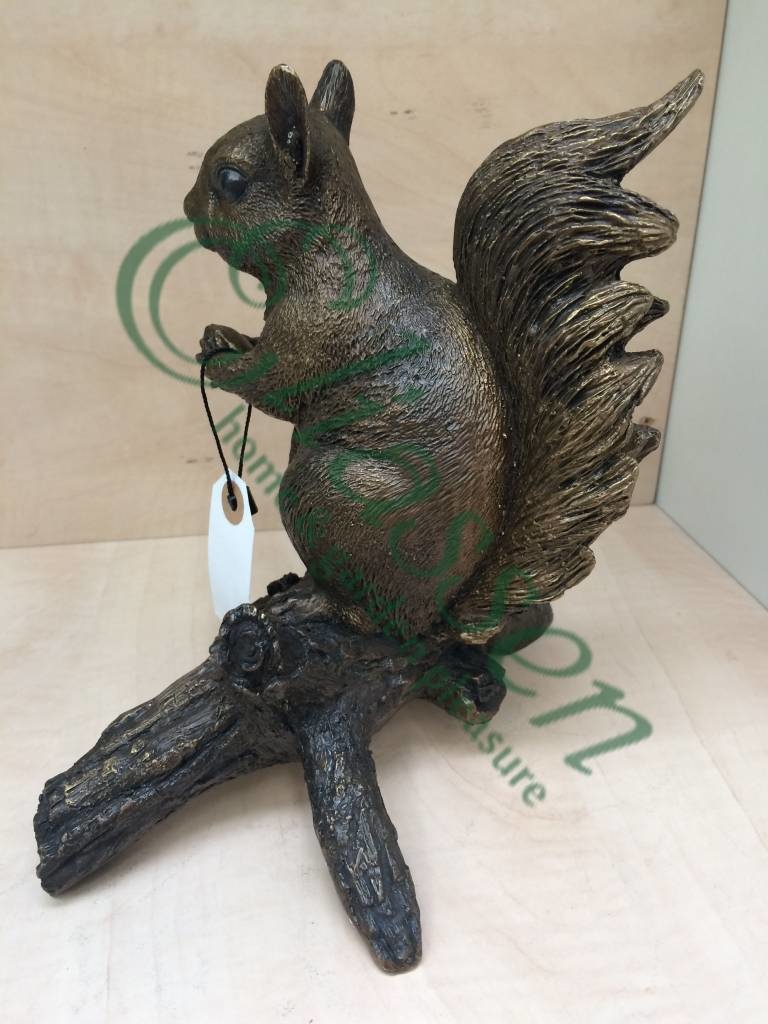 Bild Bronze Eichhörnchen auf Ast - Eliassen Home & Garden Pleasure