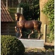 Eliassen Beeld brons paard groot Eliassen Beeld brons paard groot